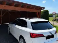 Gebraucht Audi SQ5 Sport 341 PS (250 kW) 2022 Weiß SUV
