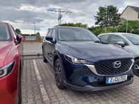 Gebraucht Mazda CX-5 Ad'Vantage 165 PS (121 kW) 2024 Blau SUV