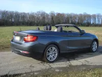 Gebraucht BMW 220 Advantage 190 PS (139 kW) 2015 Grau Cabrio