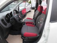 Gebraucht Fiat Panda Easy 69 PS (50 kW) 2016 Bianco ghiaccio/gelato Kleinwagen