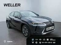 Neu Lexus UX 300e Luxury Line 150 kW (204 PS) 2026 Sonic chrome metallic SUV