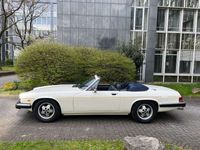 gebraucht Jaguar XJS XJSCArden Umbau 4 Sitze Original 52300 Km