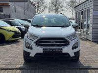 Gebraucht Ford Ecosport 125 PS (91 kW) 2020 Weiß SUV