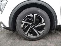 Gebraucht Kia Sportage Vision 150 PS (110 kW) 2023 Casa white SUV