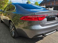 Gebraucht Jaguar XF Portfolio 300 PS (220 kW) 2016 Grau Limousine