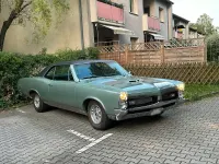 Gebraucht Pontiac GTO 360 PS (264 kW) 1967 Grün Coupé