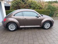 Gebraucht VW Beetle Design 105 PS (77 kW) 2014 Braun Kleinwagen