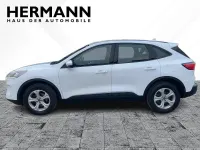 Gebraucht Ford Kuga Cool & Connect 150 PS (110 kW) 2023 Weiß SUV