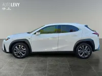 Gebraucht Lexus UX 300h Sport Design Packet 199 PS (146 kW) 2024 Weiß SUV