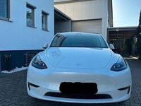 Gebraucht Tesla Model Y 378 kW (514 PS) 2023 Weiß SUV