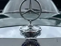 Gebraucht Mercedes 280 140 PS (102 kW) 1969 Grün Limousine