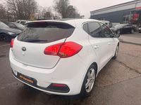 Gebraucht Kia Ceed 135 PS (99 kW) 2014 Weiß Kleinwagen