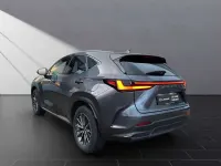 Gebraucht Lexus NX450h+ E-FOUR 309 PS (227 kW) 2023 Sonic grey SUV