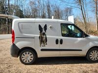 Gebraucht Opel Combo Selection 95 PS (69 kW) 2015 Schwarz Van / Kleinbus