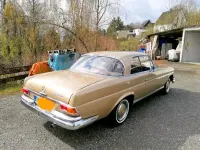 Gebraucht Mercedes 220 SE 120 PS (88 kW) 1965 Andere farben Coupé