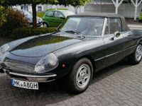 gebraucht Alfa Romeo Spider fastback