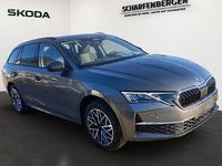 Neu Skoda Octavia RS 200 PS (147 kW) 2026 Grau Kombi
