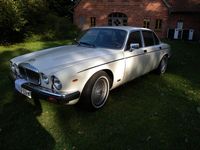 Gebraucht Jaguar XJ12 1987 Limousine