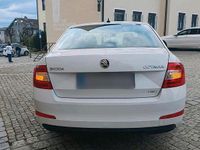 Gebraucht Skoda Octavia 130 PS (95 kW) 2016 Weiß Kleinwagen