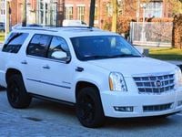 Gebraucht Cadillac Escalade 409 PS (300 kW) 2015 Weiß SUV