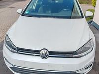 Gebraucht VW Golf VII Join 116 PS (85 kW) 2019 Grau Kleinwagen