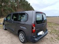 Gebraucht Citroën Berlingo Live 110 PS (80 kW) 2019 Grau Van / Kleinbus