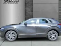 Gebraucht Mazda CX-30 Center-Line 140 PS (102 kW) 2025 Grau SUV