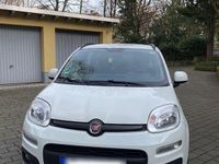 Gebraucht Fiat Panda Lounge 69 PS (50 kW) 2017 Weiß Kleinwagen