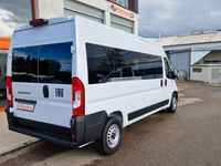 Neu Opel Movano 140 PS (102 kW) 2026 Van