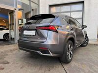 gebraucht Lexus NX300h E-FOUR Luxury Line * All-Wetter-Reifen *