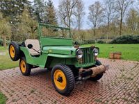 gebraucht Jeep Willys 