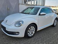 Gebraucht VW Beetle Design 105 PS (77 kW) 2012 Weiß Kleinwagen