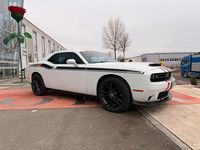 Gebraucht Dodge Challenger SXT 306 PS (225 kW) 2020 Weiß Coupé