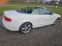 Gebraucht Audi S5 Cabriolet 333 PS (244 kW) 2013 Weiß Cabrio