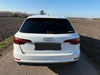 Gebraucht Audi A4 Design 122 PS (89 kW) 2018 Weiß Kombi