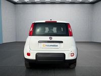 Neu Fiat Panda 69 PS (50 kW) 2025 Weiß Kleinwagen