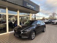 Gebraucht Mazda CX-30 Selection 150 PS (110 kW) 2020 Grau SUV