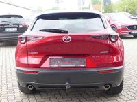 gebraucht Mazda CX-30 SKYACTIV-G 2.0 M Hybrid SELECTION A18 DES-P ACT-P