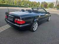 gebraucht Mercedes CLK230 Cabrio Final Edition