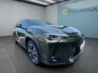 Gebraucht Lexus UX 250h 184 PS (135 kW) 2022 Grün SUV