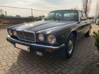 Gebraucht Jaguar XJ12 295 PS (216 kW) 1986 Grau Limousine