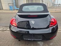 Gebraucht VW Beetle Cabriolet Design 105 PS (77 kW) 2013 Schwarz Cabrio