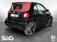 gebraucht Smart ForTwo Electric Drive EQ cabrio passion Sitzhz+Sidebag+Cool+Aud