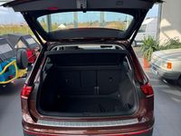 Gebraucht VW Tiguan Elegance 150 PS (110 kW) 2022 Blau SUV