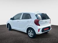 Gebraucht Kia Picanto Vision 67 PS (49 kW) 2024 Weiss ((ud) schneeweiss) Kleinwagen