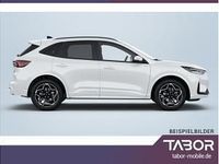 Neu Ford Kuga ST-Line 182 PS (133 kW) 2026 Weiß (frozen white) SUV