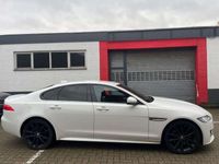 gebraucht Jaguar XF 30d 300PS R-Sport Aut.*HEAD-UP*DIGITALTACHO