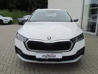 Gebraucht Skoda Octavia 200 PS (147 kW) 2023 Kombi