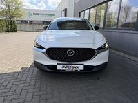 Neu Mazda CX-30 Homura-Line 140 PS (102 kW) 2026 SUV