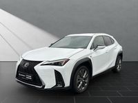 Gebraucht Lexus UX 250h Sport Line 184 PS (135 kW) 2023 Weiß SUV
